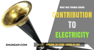Edison's Electrical Revolution: Innovations and Impact