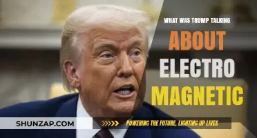 Trump's Weird Interest in Electromagnetic Powers Explained