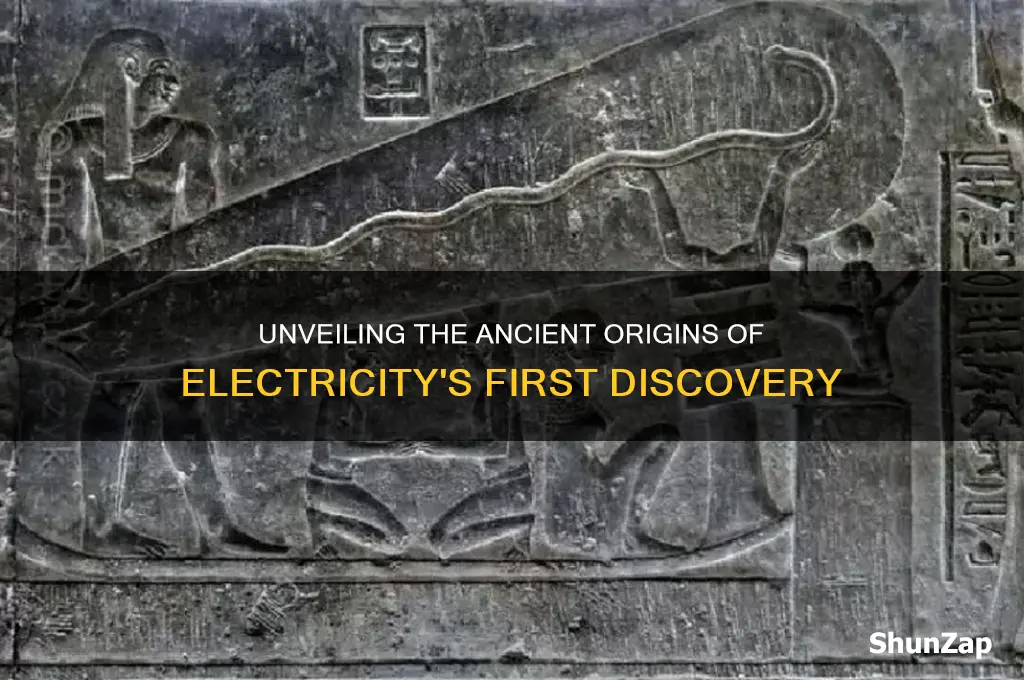 what was used to first discover electricity