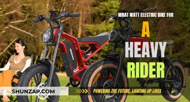 Heavy Rider's Guide to Choosing the Right Electric Bike Wattage