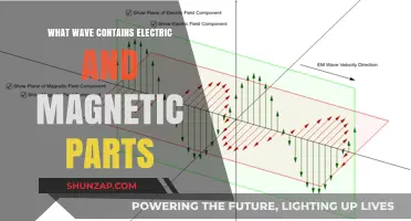 Electromagnetic Waves: Electric and Magnetic Components