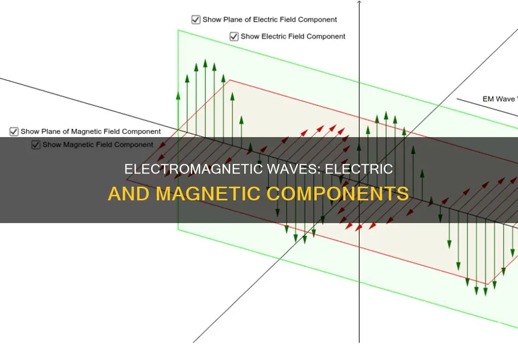 what wave contains electric and magnetic parts