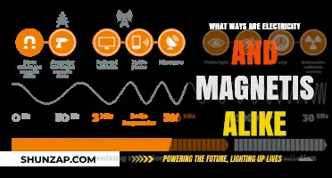 Electricity and Magnetism: Similarities and Shared Properties