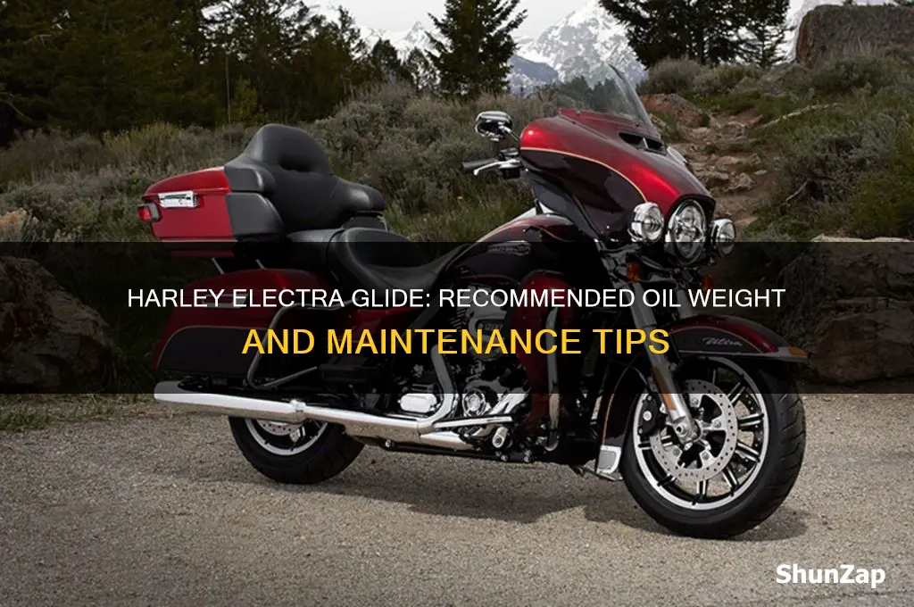 what weight oil does a harley electra glide use