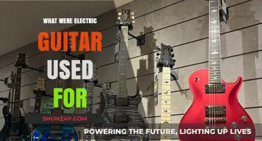 Electric Guitar Evolution: From Niche to Iconic Musical Instrument