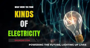 Electricity's Four Forms: Understanding the Fundamentals