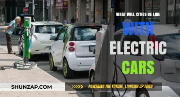 Electric Revolution: Transforming Urban Landscapes and Future City Mobility