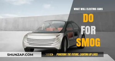 Electric Cars: A Breath of Fresh Air for Smog-Filled Cities?