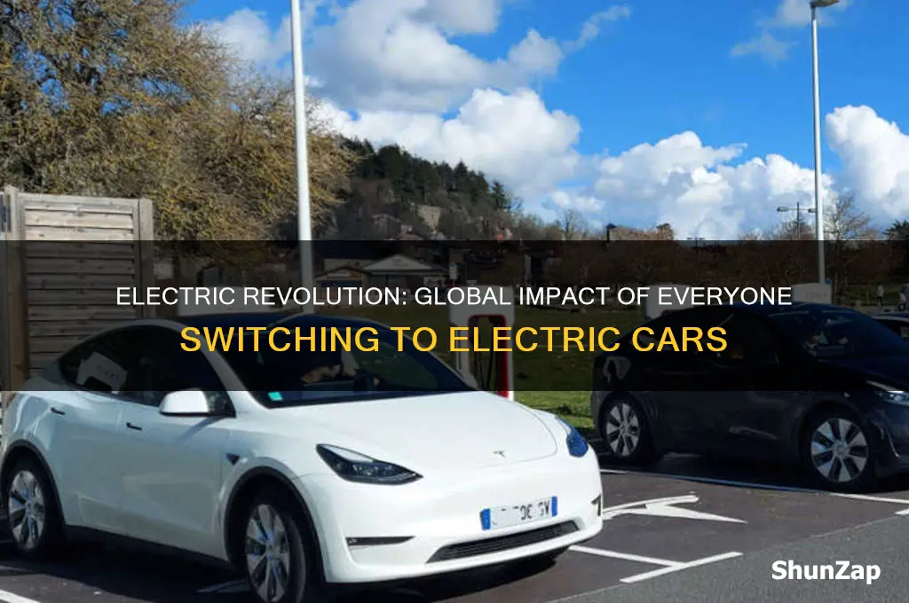 what will happen if everybody switch too a electric car