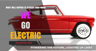 Electric Future: The Fate of Classic Cars in a Green World