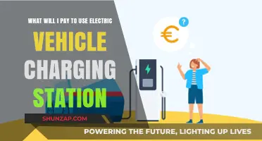 Electric Vehicle Charging Costs: What to Expect at Stations