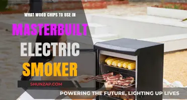 Best Wood Chips for Masterbuilt Electric Smoker: Enhance Your BBQ Flavor