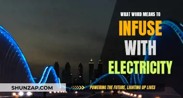 Electricity Infusion: The Art of Electrifying with Power