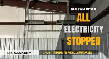 The World Without Electricity: A Dark Future