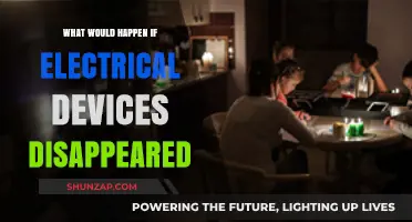 A World Without Electrical Devices: Chaos and Confusion