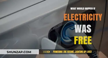 A World With Free Electricity: Exploring the Impact