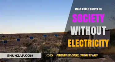 Life Without Electricity: A Dark Future for Society