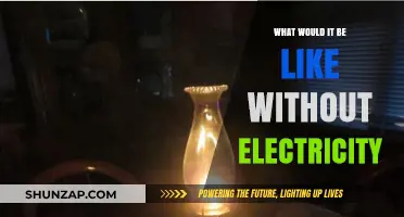 Life Without Electricity: A Dark and Quiet World