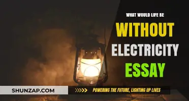 Life Without Electricity: A Dark Reality Check