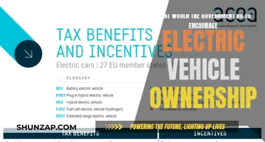 Government Incentives: Accelerating the Shift to Electric Vehicles