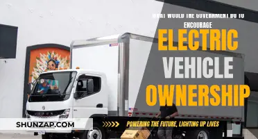 Encouraging Electric Vehicle Ownership: Government Incentives and Actions