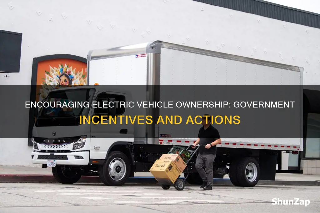 what would the government do to encourage electric vehicle ownership