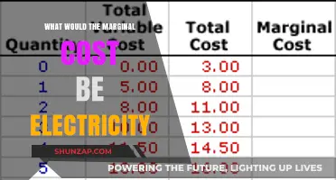 Understanding Marginal Costs of Electricity Production