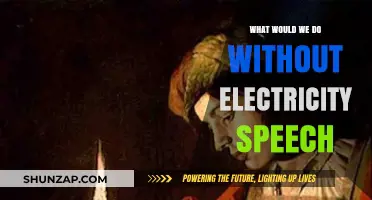 Electricity's Absence: Impact and Importance