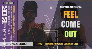 The Year Electric Feel Electrified the World