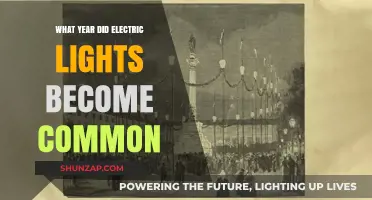 The Bright History of Electric Lights