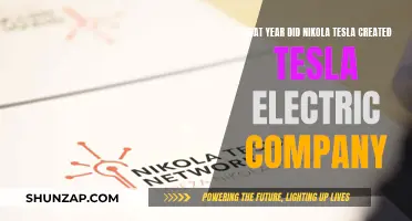 Nikola Tesla's Electric Company: The Founding Years