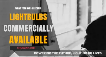 The Electric Lightbulb's Commercial Launch: A Historical Perspective