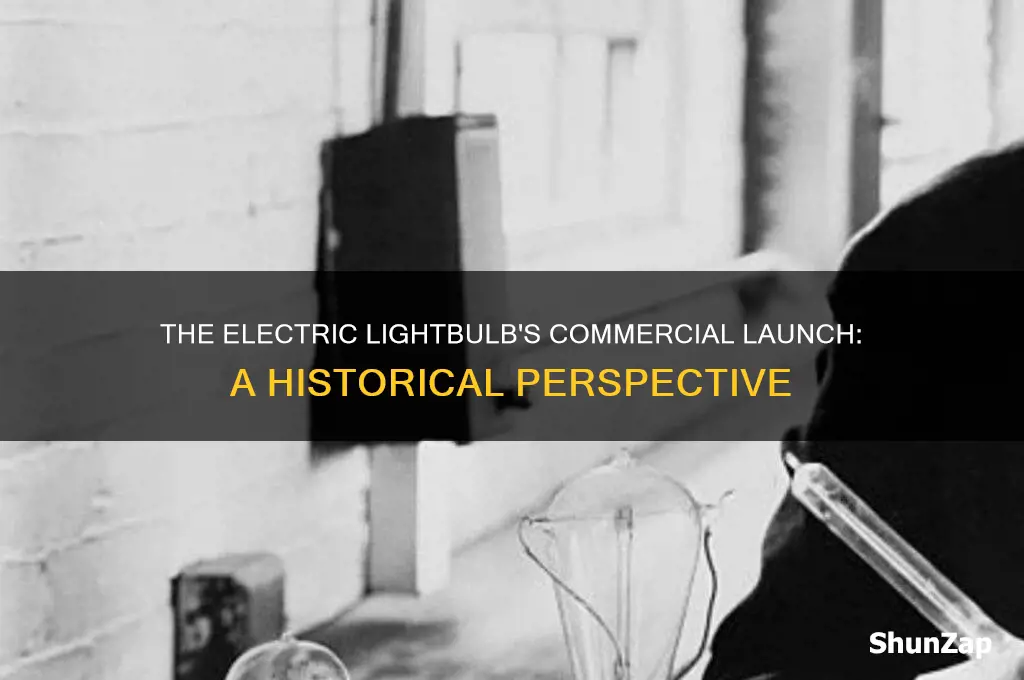 what year was electric lightbulbs commercially available