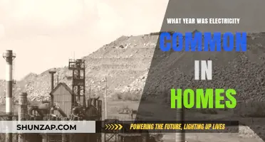 The Widespread Electrification of Homes in the 1900s