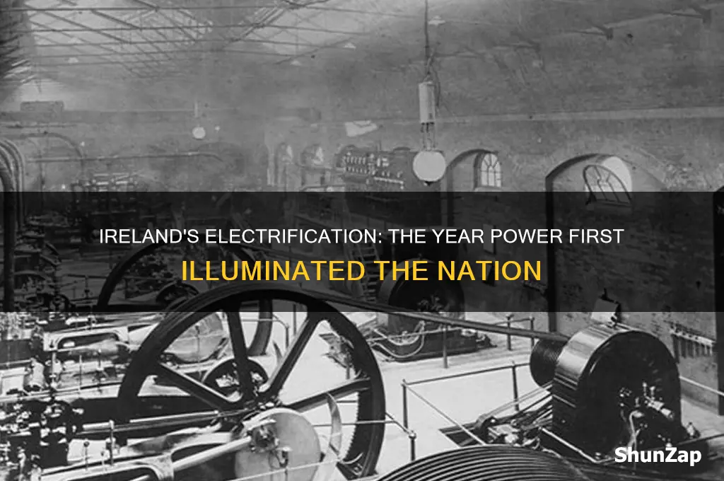 what year was electricity first used in ireland