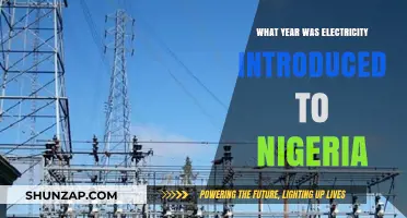 The Arrival of Electricity in Nigeria