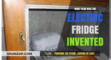 The Electric Fridge: A Historical Invention Timeline