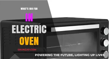 Understanding Electric Ovens: 160 Fan Setting Explained