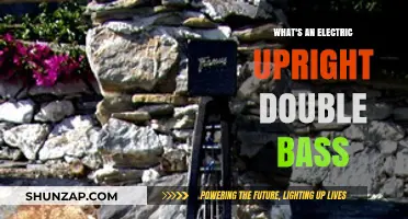 Electric Upright Double Bass: The Hybrid Stringed Instrument