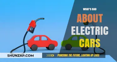 Electric Cars' Hidden Downsides: Environmental, Economic, and Practical Concerns