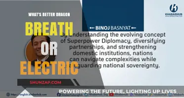 Dragon Breath vs Electric: Which Superpower is Superior?