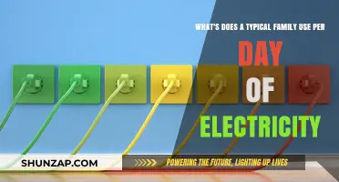 Average Daily Electricity Usage: Understanding a Family's Power Consumption