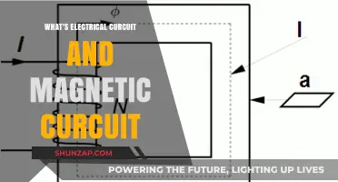 Understanding Electrical and Magnetic Circuits: Key Concepts