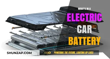 Unveiling the Power: Inside an Electric Car Battery's Components