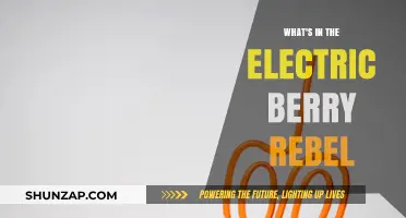 Electric Berry Rebel: What's Inside This Delicious Drink?