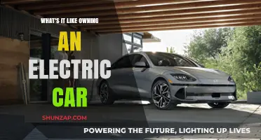 Owning an Electric Car: Real-Life Experiences, Benefits, and Challenges