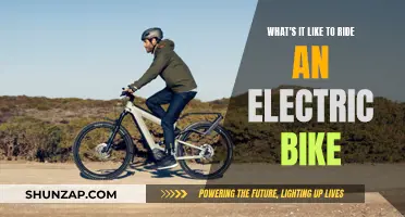 The Joys of Electric Biking: A Rider's Experience