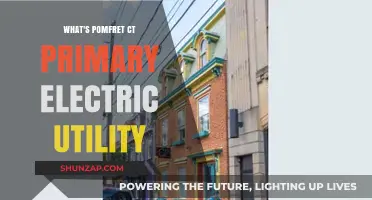 Electric Utility in Pomfret, CT: Who Powers the Town?