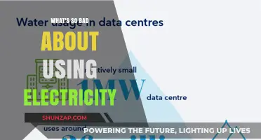 The Hidden Costs of Electricity: Environmental and Economic Concerns