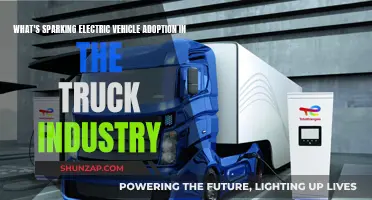 Electric Trucks: Industry Sparks and EV Adoption Drivers